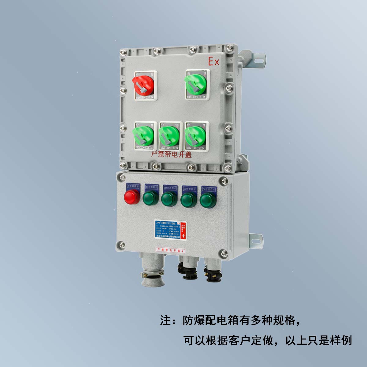 BXM(D)58 系列防爆照明(動力)配電箱 (ⅡB、ⅡC、DIP)